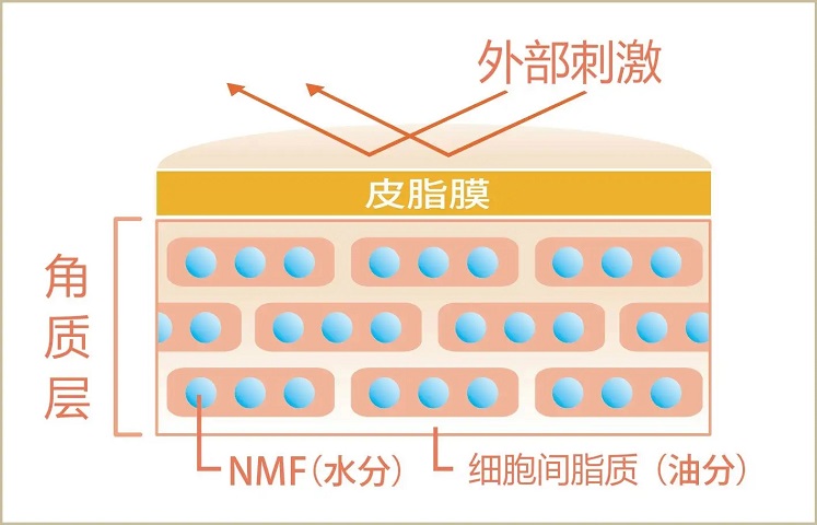 皮膚吸收不好？那要如何正確去角質(zhì)