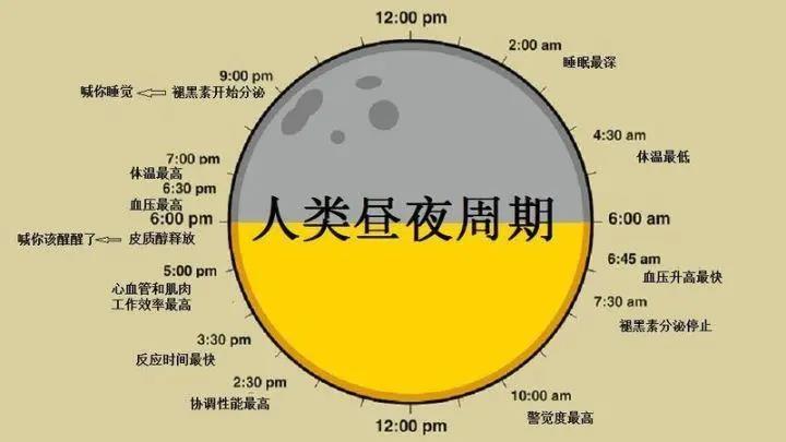 被瘋狂吹爆的“早C晚A”，到底是不是智商稅？